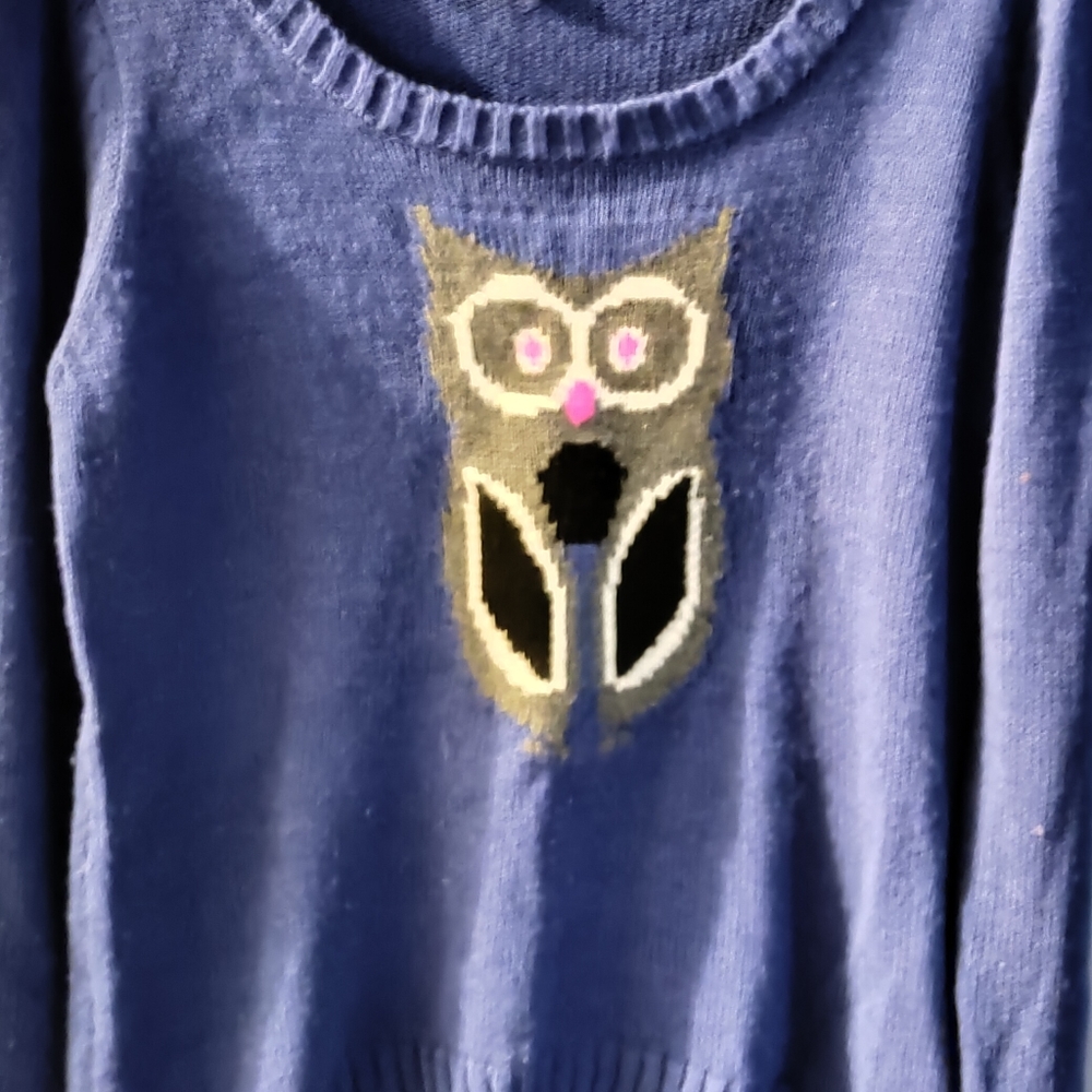 Blue Owl sweater
